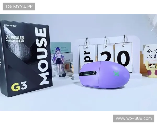 迈从G3游戏测评是否存在延迟问题详细分析